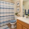 Bathroom with oak vanity and striped shower curtain